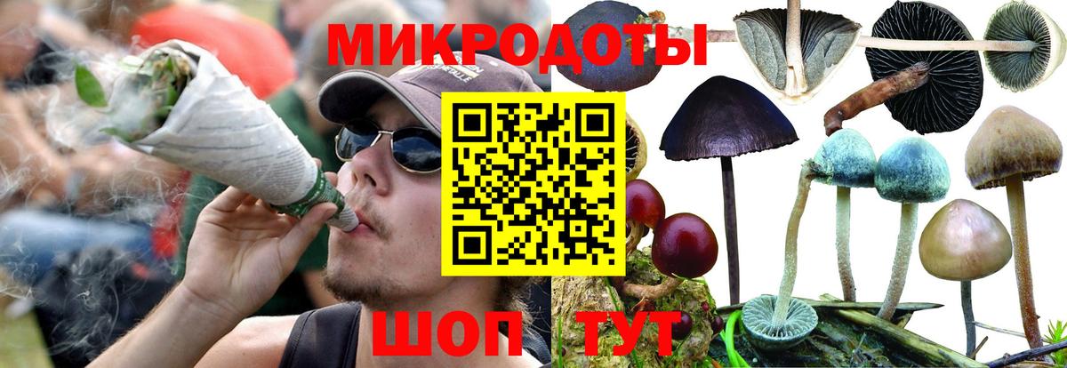 Псилоцибиновые грибы Psilocybine cubensis  Вход с VPN  Отрадное 